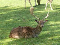 parco-sigurtà_088.JPG