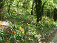 parco-sigurtà_092.JPG