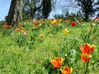 parco-sigurtà_096.JPG