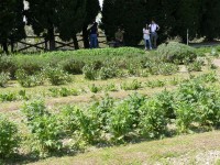 parco-sigurtà_097.JPG