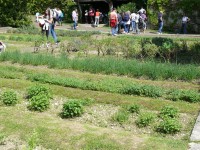 parco-sigurtà_098.JPG