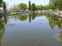 parco-sigurtà_101.JPG
