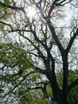 parco-sigurtà_116.JPG