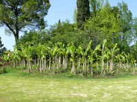 parco-sigurtà_118.JPG