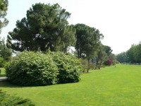 parco-sigurtà_126.JPG