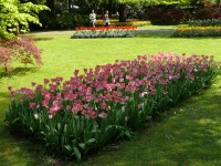 parco-sigurtà_127.JPG
