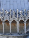 torre-pisa_54.JPG