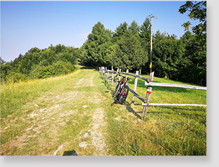 MONTE MISMA