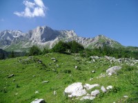 Alpe-Corte_10.JPG