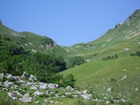 Alpe-Corte_11.JPG