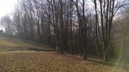 Monte-Canto_33.jpg
