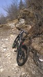WP_20150319_12_50_29_Pro.jpg