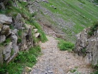 Rifugio-Curò_28.JPG