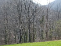 valli_pasubio_2005_14.JPG