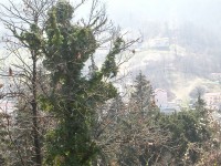 valli_pasubio_2005_16.JPG