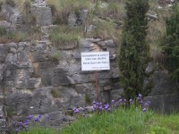 monte_grappa_2005_23.JPG