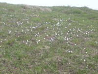monte_grappa_2005_32.JPG