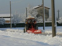 verdello_inverno_2005_11.JPG