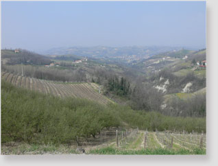 LANGHE PIEMONTESI