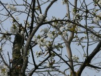 langhe-piemontesi_06.JPG