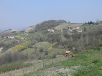 langhe-piemontesi_11.JPG