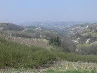 langhe-piemontesi_12.JPG