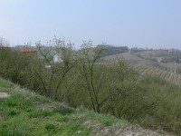 langhe-piemontesi_13.JPG