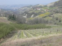 langhe-piemontesi_17.JPG