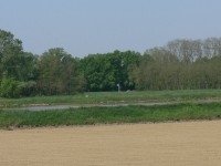 colline-monferrato_04.JPG