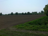 colline-monferrato_06.JPG