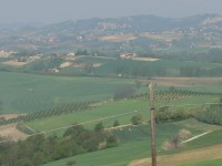 colline-monferrato_10.JPG