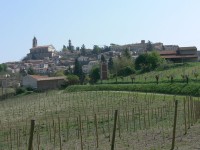 colline-monferrato_14.JPG