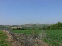 colline-monferrato_20.JPG