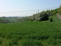 colline-monferrato_21.JPG