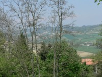 colline-monferrato_23.JPG