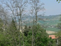 colline-monferrato_23.JPG