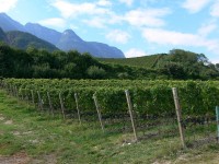 san-romedio_68.JPG