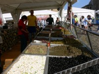 sagra-salumi-mantova_76.JPG