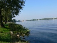 sagra-salumi-mantova_80.JPG