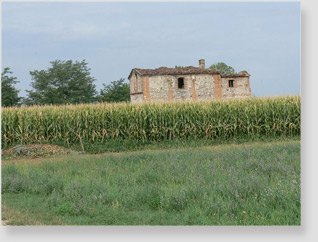 CAMPAGNA A VERDELLO