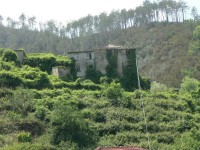 passo_del_biscia_37.JPG