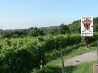 franciacorta_05.JPG