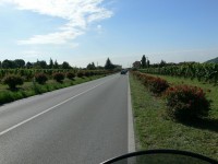 franciacorta_10.JPG