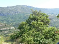 gole_verdon_23.JPG