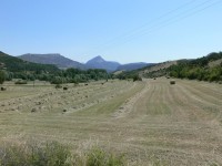 gole_verdon_52.JPG