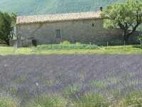 gole_verdon_55.JPG