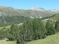 5-passi_svizzera_2007_11.JPG