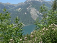 5-passi_svizzera_2007_53.JPG