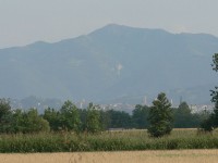 verdello_estate-2007_16.JPG