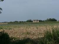 verdello_estate-2007_40.JPG